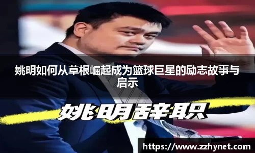 星空体育平台app